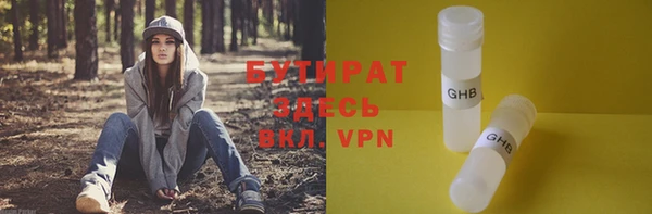 гидра Богданович