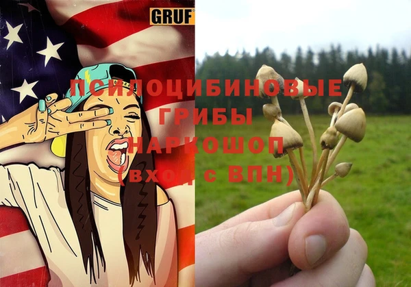 гидра Богданович