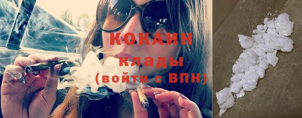 гидра Богданович
